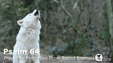 PSALM 064 // PRAYER FOR PROTECTION FROM SECRET ENEMIES