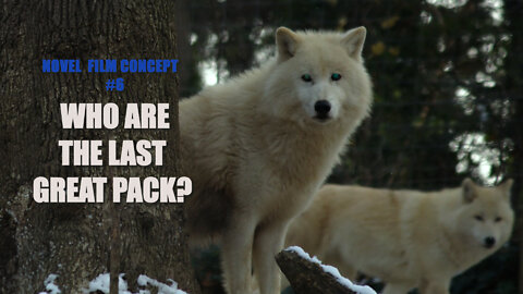 THE LAST ARCTOS PACK (SHORT FILM NOVEL CONCEPT 6 )