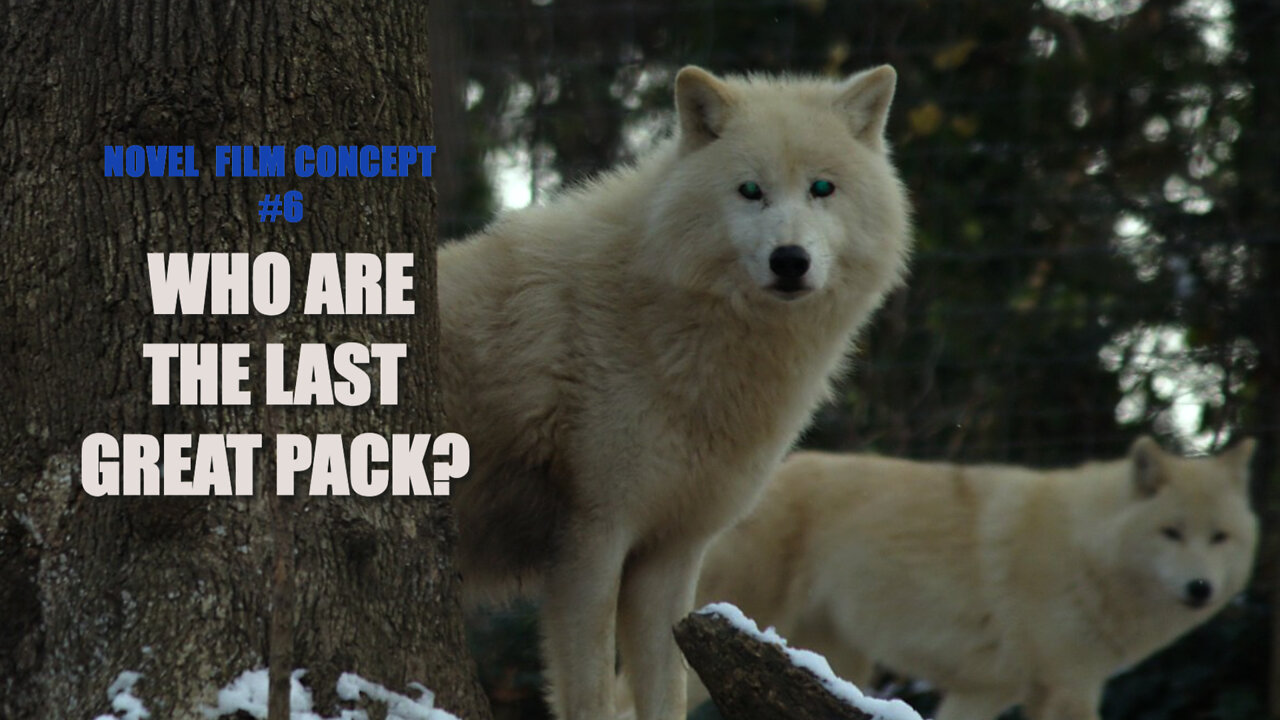 THE LAST ARCTOS PACK (SHORT FILM NOVEL CONCEPT 6 )