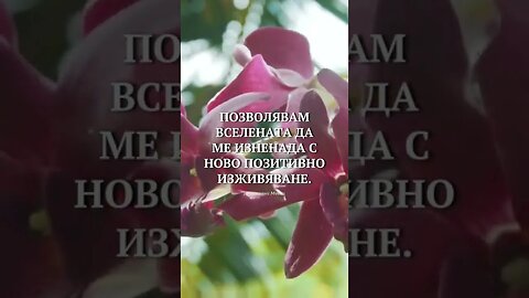 🌸 ПОЗВОЛЯВАМ.. 🌸