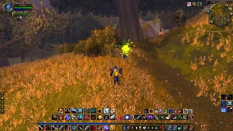 World of Warcraft Wrath of the Litch king Hunter leveling