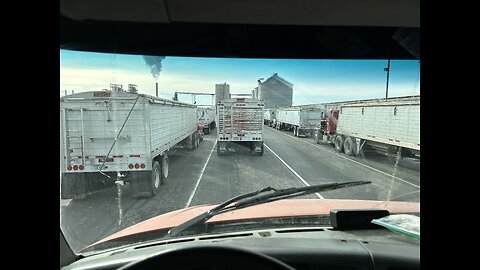 Loading Grain Cart With Corn