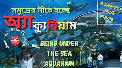 সমুদ্রের নীচে হচ্ছে অ্যাকুরিয়াম [Being Under The Sea Aquarium]