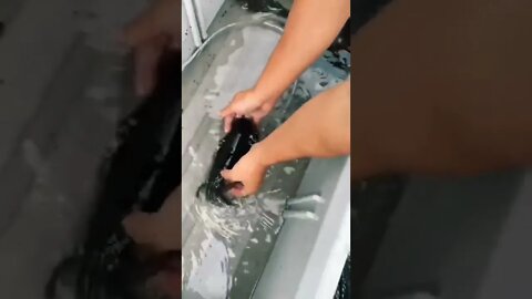 Criatura Aquática Alienígena #shorts