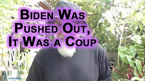 Biden Didn’t Give Up So Kamala Could Be Appointed by the DNC, He Was Pushed Out, It Was a Coup