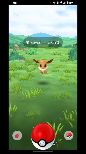 Eevee catching