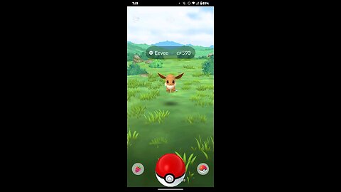 Eevee catching
