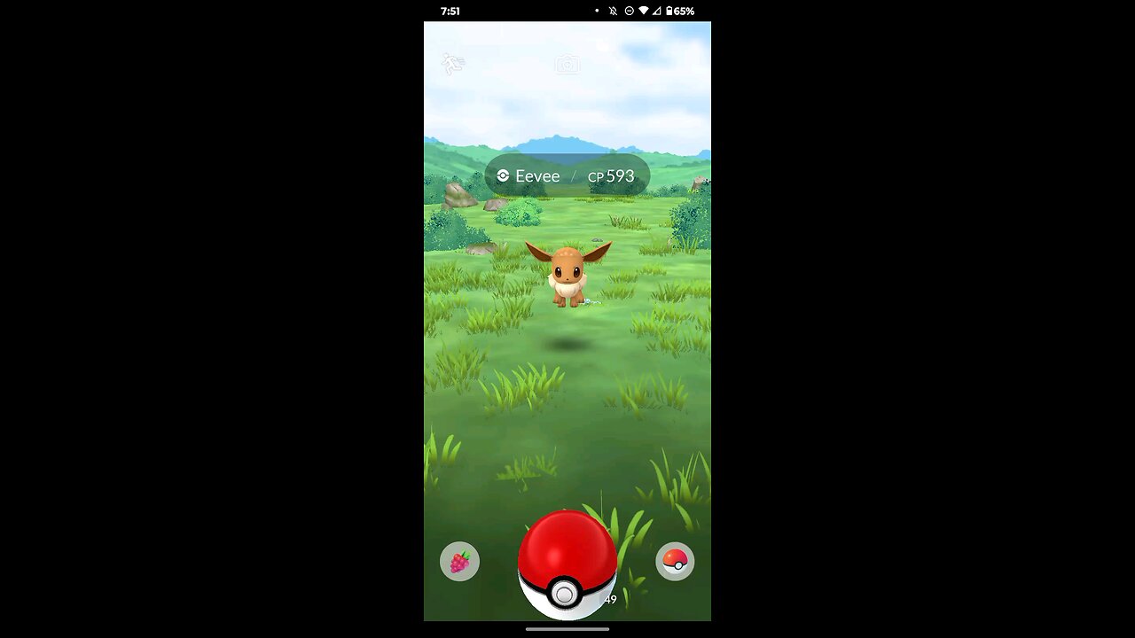 Eevee catching