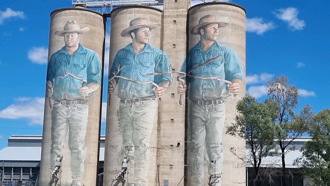 Australian Towns Barraba Silo Art