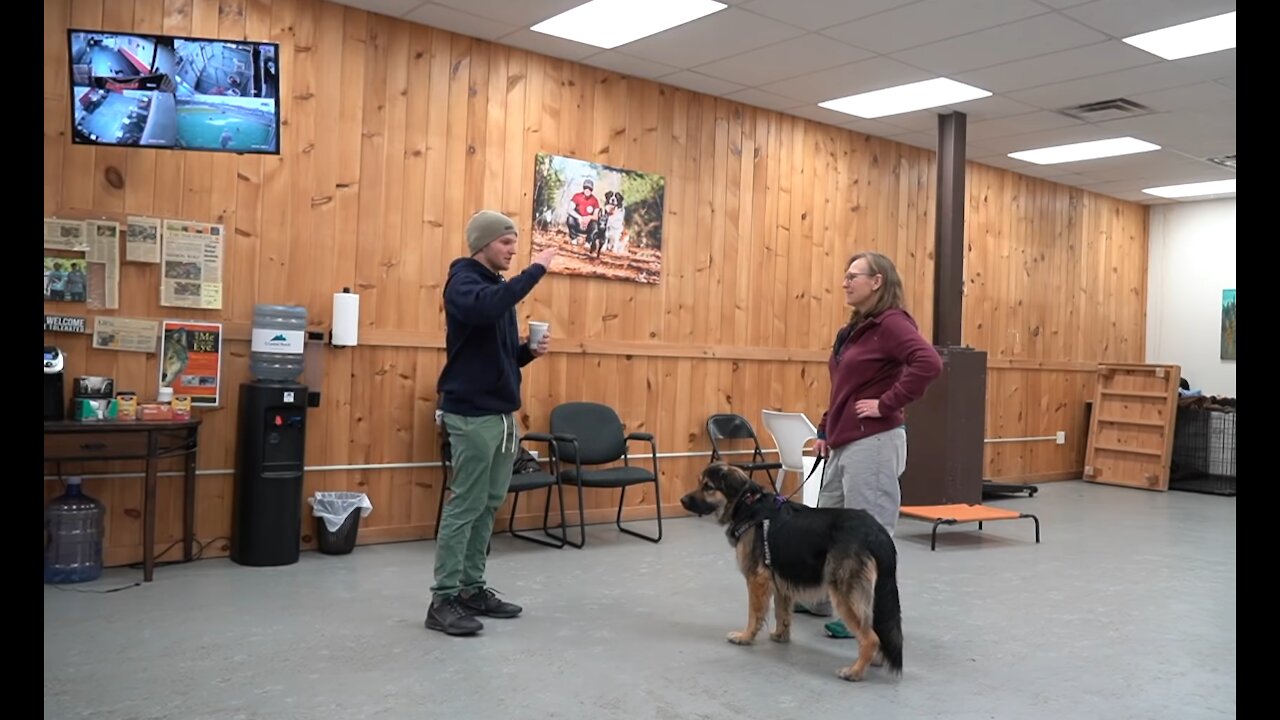 Step By Step Tutorial on How To Make Your Dog Listen To You
