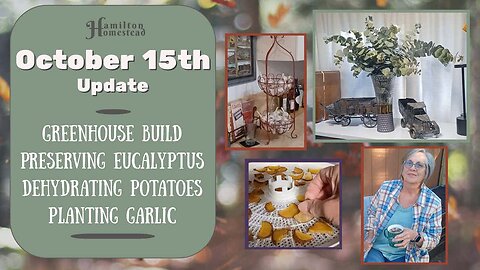 October 15 Update ~ DIY Greenhouse, Preserving Eucalyptus, Dehydrating Potatoes, & Planting Garlic.