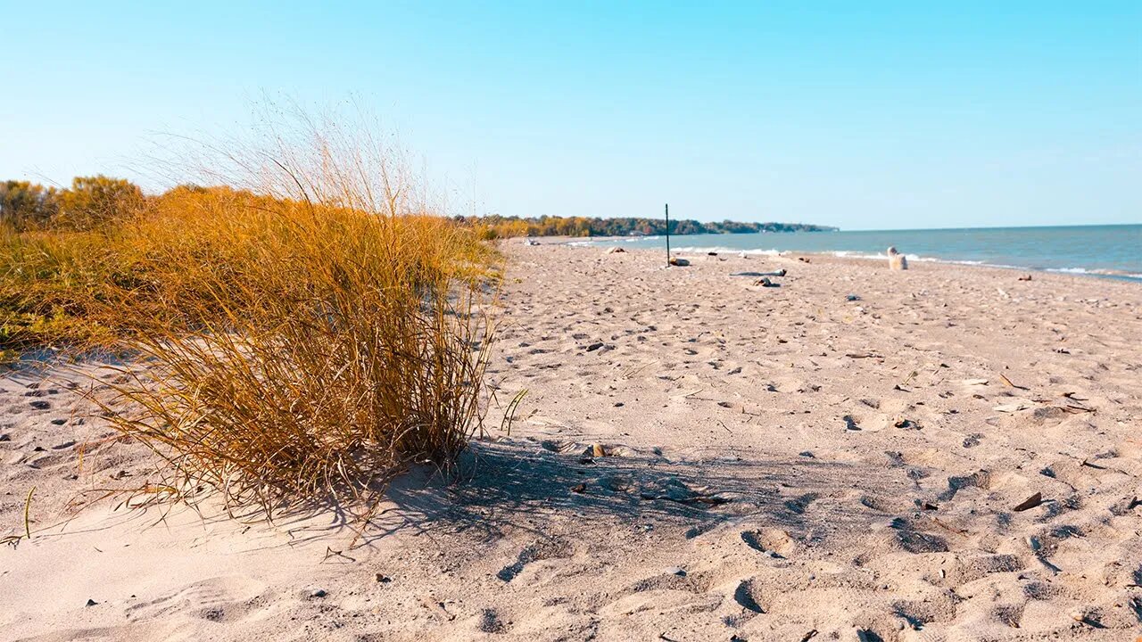 Wave Sounds for Sleeping and Relaxation 2 Hours, High Quality Binaural Audio