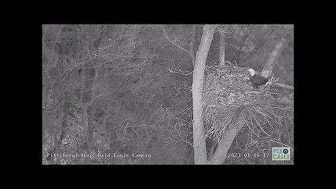 Hays Eagles Dad Flies to Woods Limb Mom follows 1.16.23 17:36