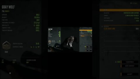 The Hunter Call of the Wild Gray Wolf 2