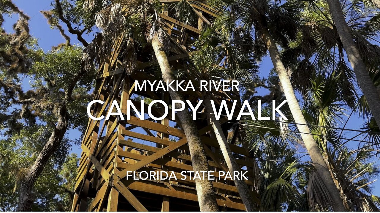 Part 3 | Myakka River State Park | Canopy Walk! | 4K