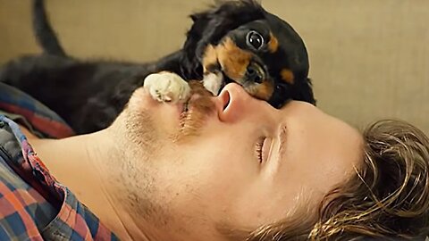 "Funny Animals Compilation: Hilarious Pet Antics!"