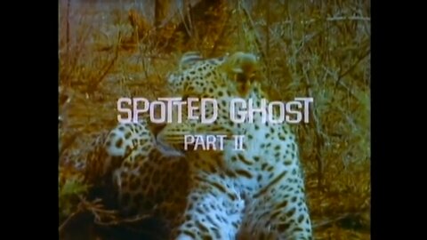 Mutual of Omaha's Wild Kingdom - "Spotted Ghost Part 2"