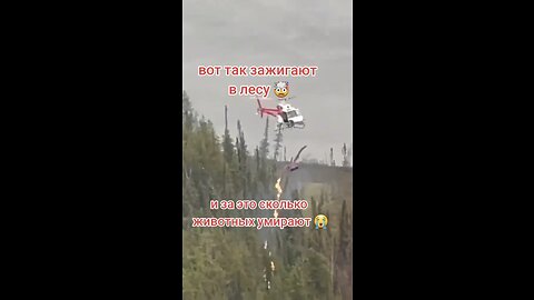 This is how the Cabal starts your massive forest fires and blames it on global warming