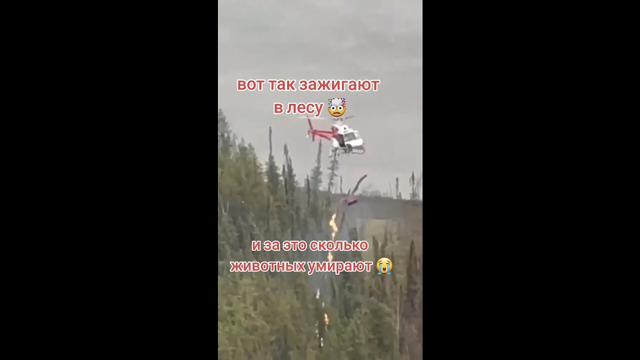 This is how the Cabal starts your massive forest fires and blames it on global warming