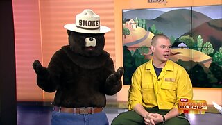 Preventing Forest Fires in Wisconsin