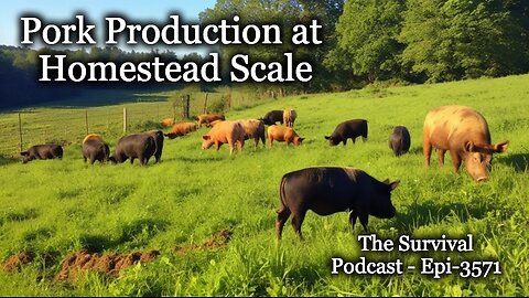 Pork Production at Homestead Scale - Epi-3571