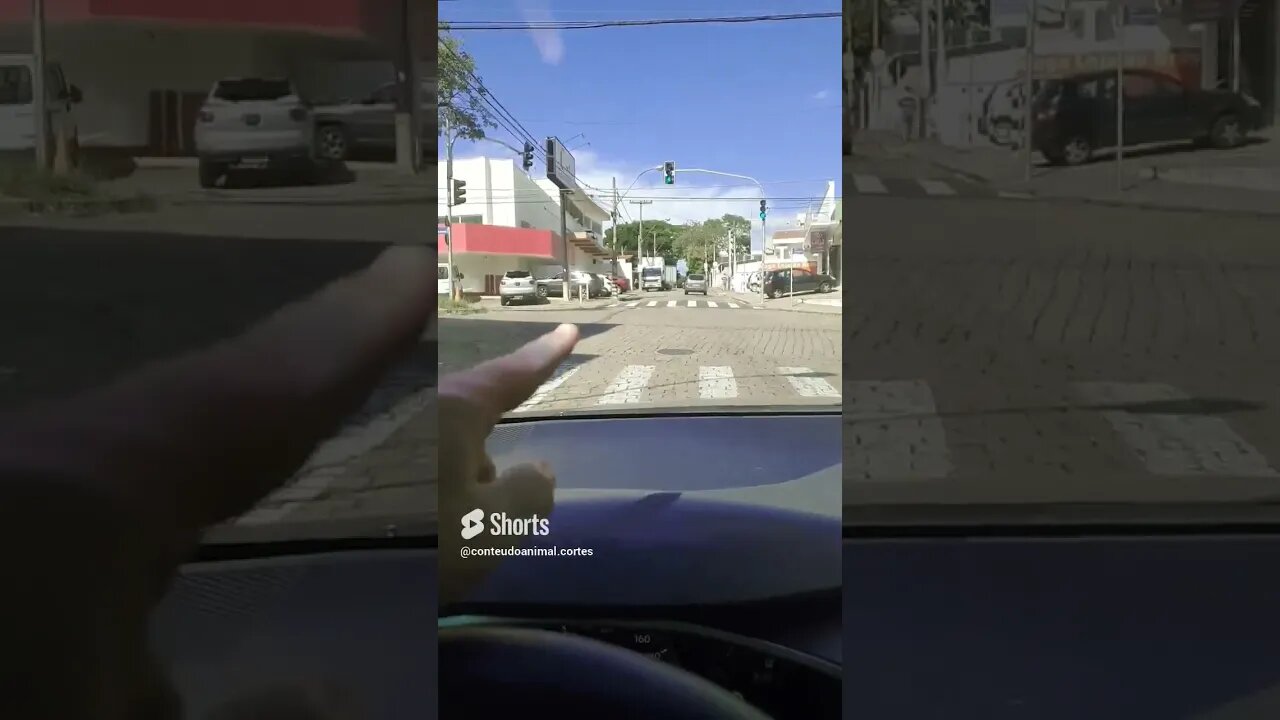 quem colocou semáforo Av 11 de agosto / Barão de Mauá... só gera congestionamento que não tinha 🤡🤦🏼