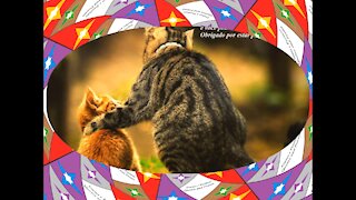 Você não é o meu melhor amigo, é alguém que posso contar, obrigado! [Frases e Poemas]