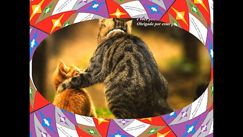Você não é o meu melhor amigo, é alguém que posso contar, obrigado! [Frases e Poemas]
