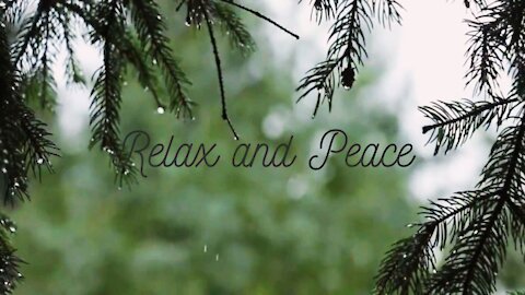 Rest with this relaxing sound of rain - Descanse com esse som relaxante de chuva