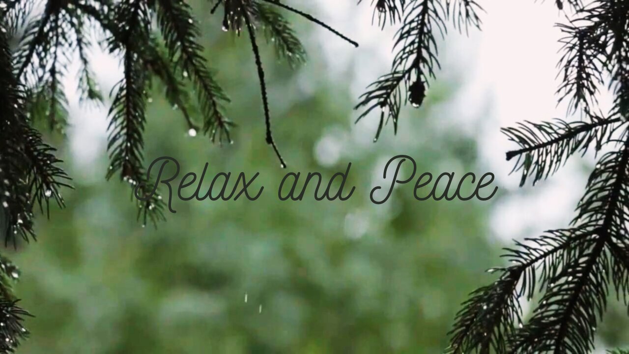 Rest with this relaxing sound of rain - Descanse com esse som relaxante de chuva