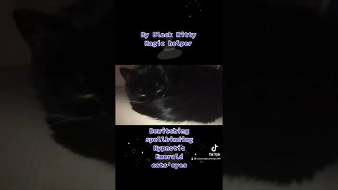 Spellbinding #catseyes True black magick #blackcat #magic #shorts