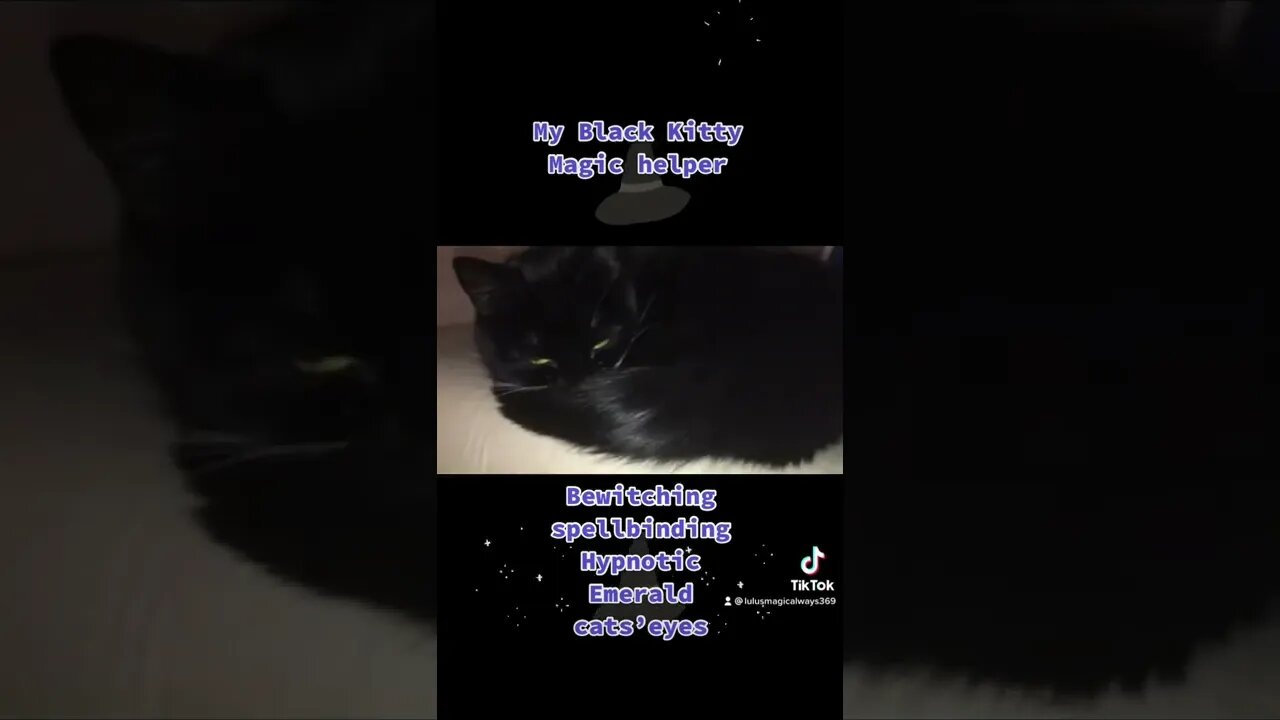 Spellbinding #catseyes True black magick #blackcat #magic #shorts