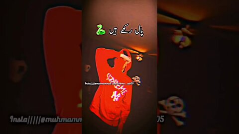 || Very Heart Touching Poetry || Best Lines || shayari