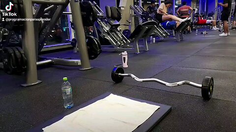 Nice day. Pure triceps and shoulders. #luis1_3711 #triceps #biceps #abs #chest #core #arms #legs