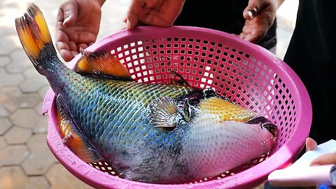 Vietnamese Street Food - GIANT TRIGGERFISH SASHIMI Barbecue Seafood Vietnam