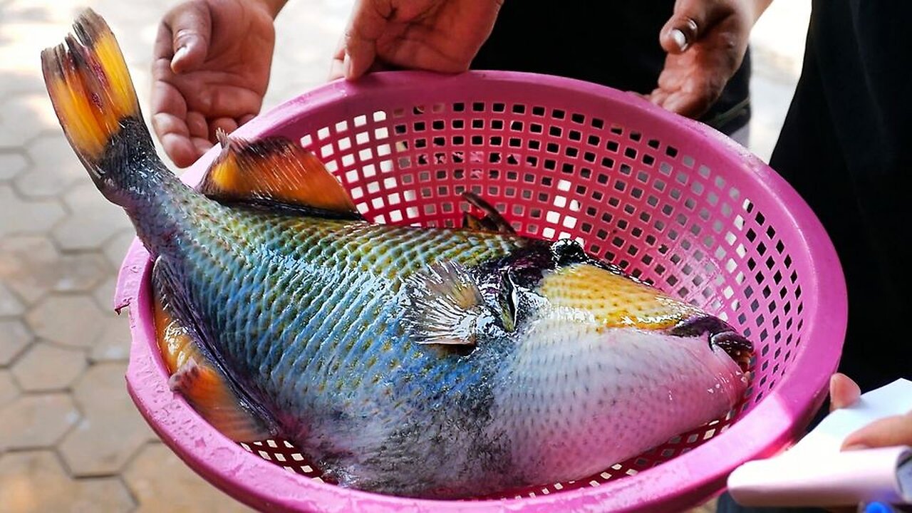 Vietnamese Street Food - GIANT TRIGGERFISH SASHIMI Barbecue Seafood Vietnam