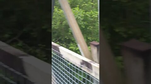 The Cour river Scotland