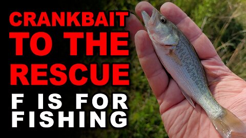 Crankbait to the Rescue