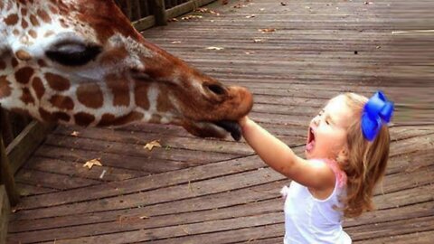 AWW SO CUTE! Cutest baby animals Videos Compilation Cute moment of the Animals
