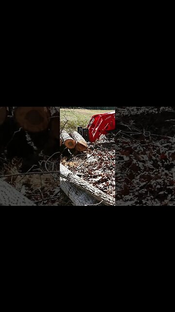 Forks Bring The Logs To The Yard 🍴 #shorts