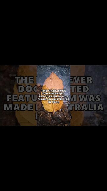 Incredible Random Facts That Will Expand Your Mind! [2023] #shorts #facts #viralshorts #fyp #life