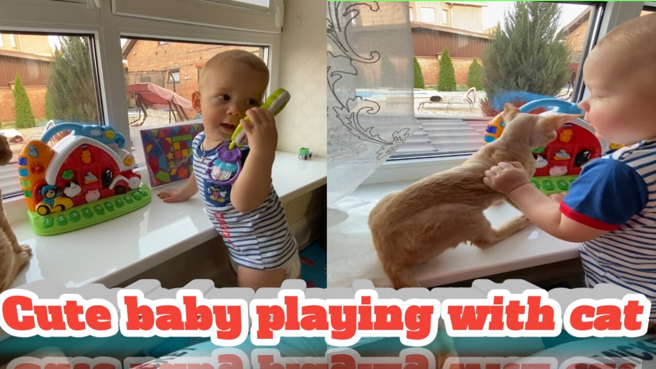 Cute baby playing with cat