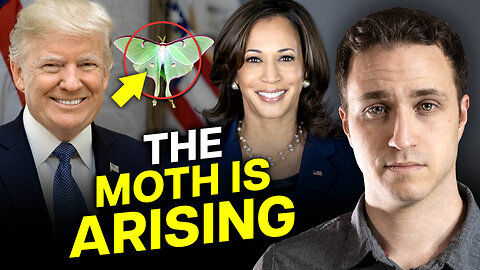 God Told Me "The Moth is Arising." Prophetic Word.