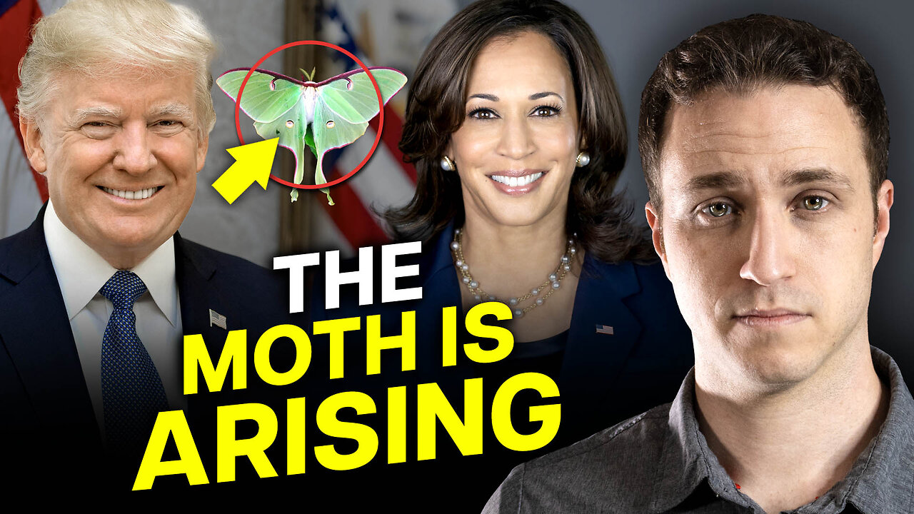 God Told Me "The Moth is Arising." Prophetic Word.