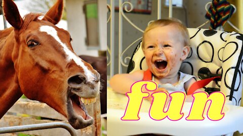 New Best Funny Video Clips 2021 shorts​