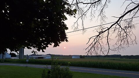 Wednesday Afternoon Chat Session!