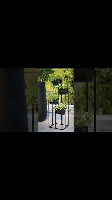 #shorts Unique and Stylish LANDSCAPING indoor Plants Home decoration designs in 2023