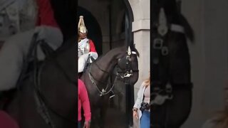 Very Quiet let go #horseguardsparade