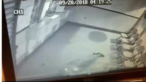 Burglary suspect throws rock at window, rock bounces back hits him in the head