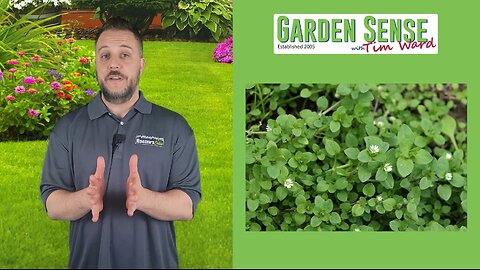 Garden Sense with Tim Ward - 02.28.24